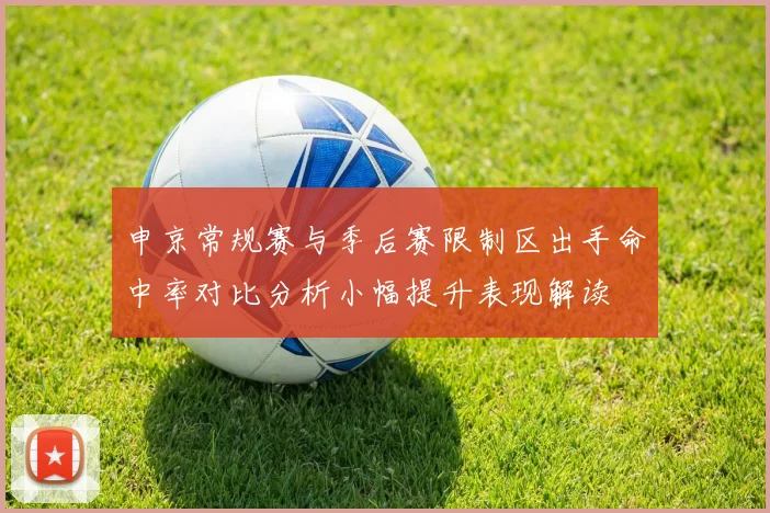申京常规赛与季后赛限制区出手命中率对比分析小幅提升表现解读